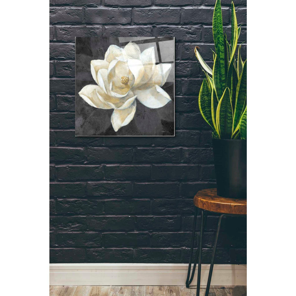 Epic Art 'Majestic Magnolia Neutral Sq' by Albena Hristova, Acrylic Glass Wall Art,24x24