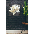 Epic Art 'Majestic Magnolia Neutral Sq' by Albena Hristova, Acrylic Glass Wall Art,24x24