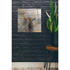 Epic Art 'The Leader Gold Light Grey' by Albena Hristova, Acrylic Glass Wall Art,24x24