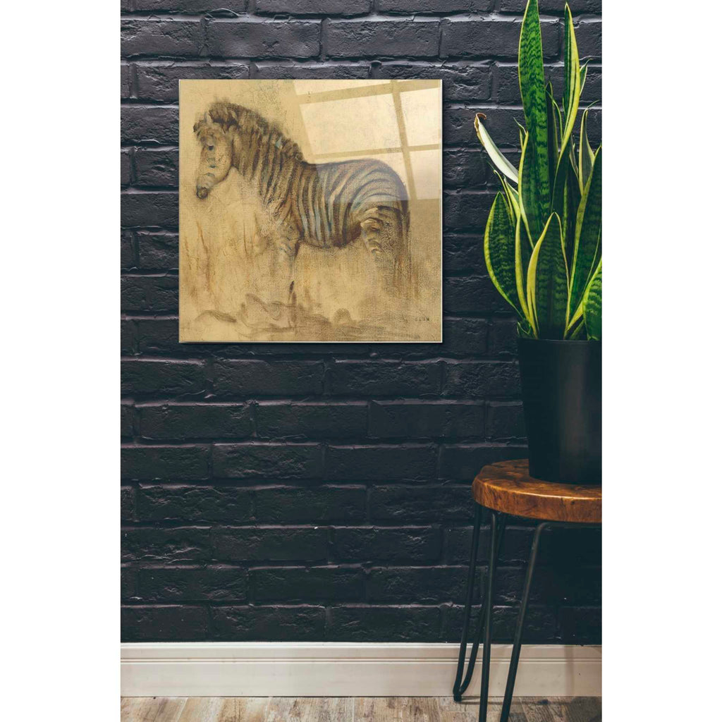 Epic Art 'Global Zebra Light Crop' by Cheri Blum, Acrylic Glass Wall Art,24x24