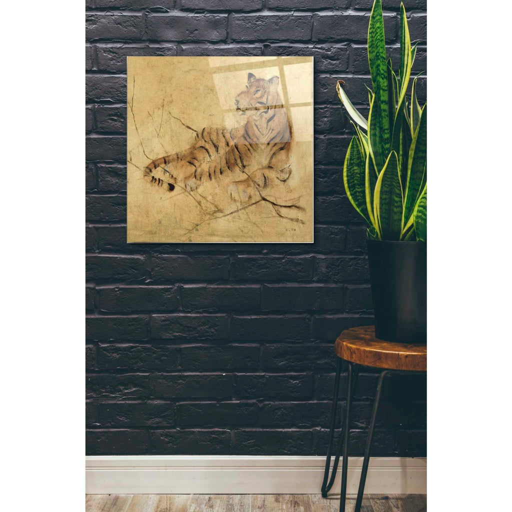 Epic Art 'Global Tiger Light Crop' by Cheri Blum, Acrylic Glass Wall Art,24x24