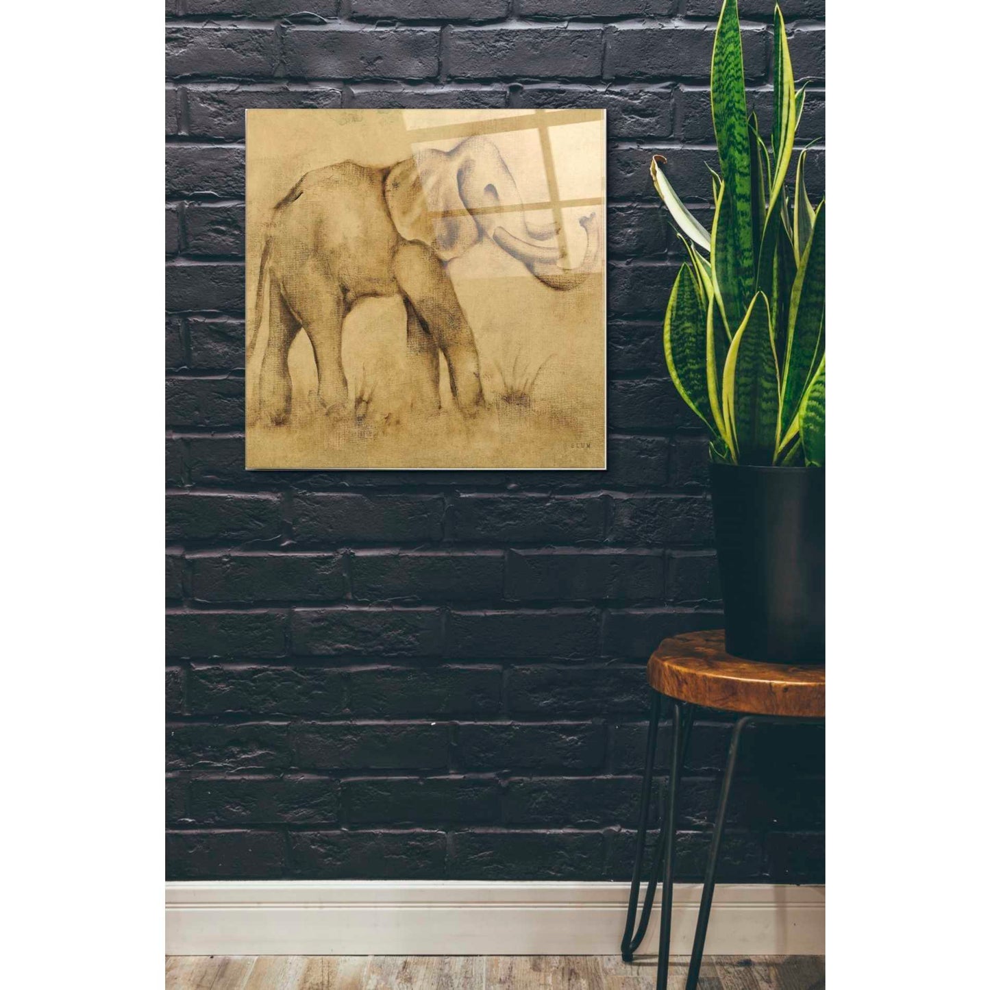 Epic Art 'Global Elephant Light Crop' by Cheri Blum, Acrylic Glass Wall Art,24x24