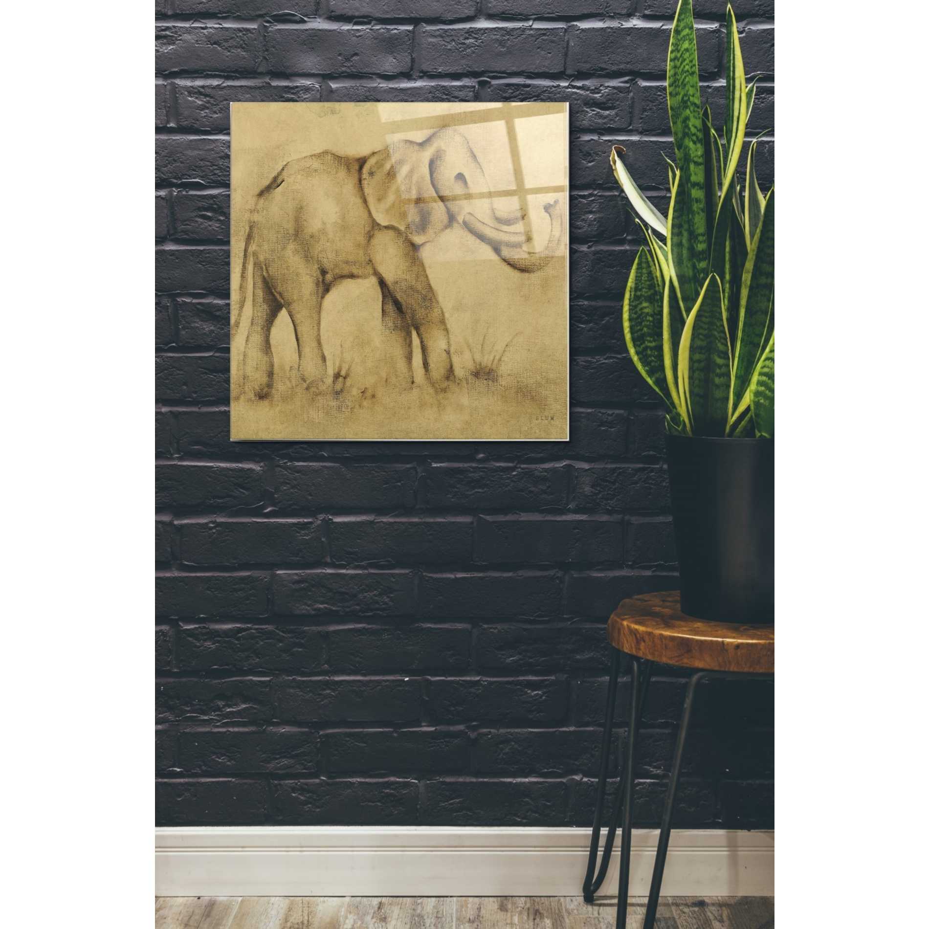 Epic Art 'Global Elephant Light Crop' by Cheri Blum, Acrylic Glass Wall Art,24x24