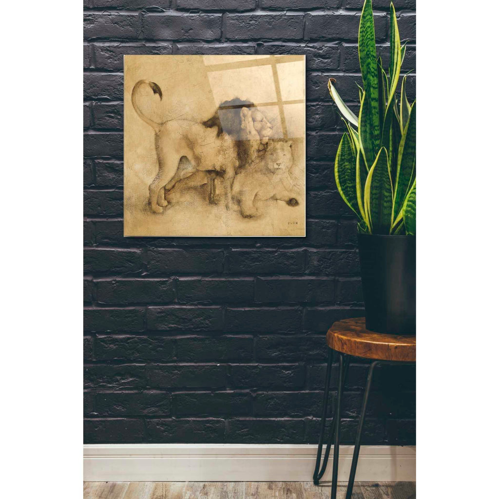 Epic Art 'Global Lions Light Crop' by Cheri Blum, Acrylic Glass Wall Art,24x24