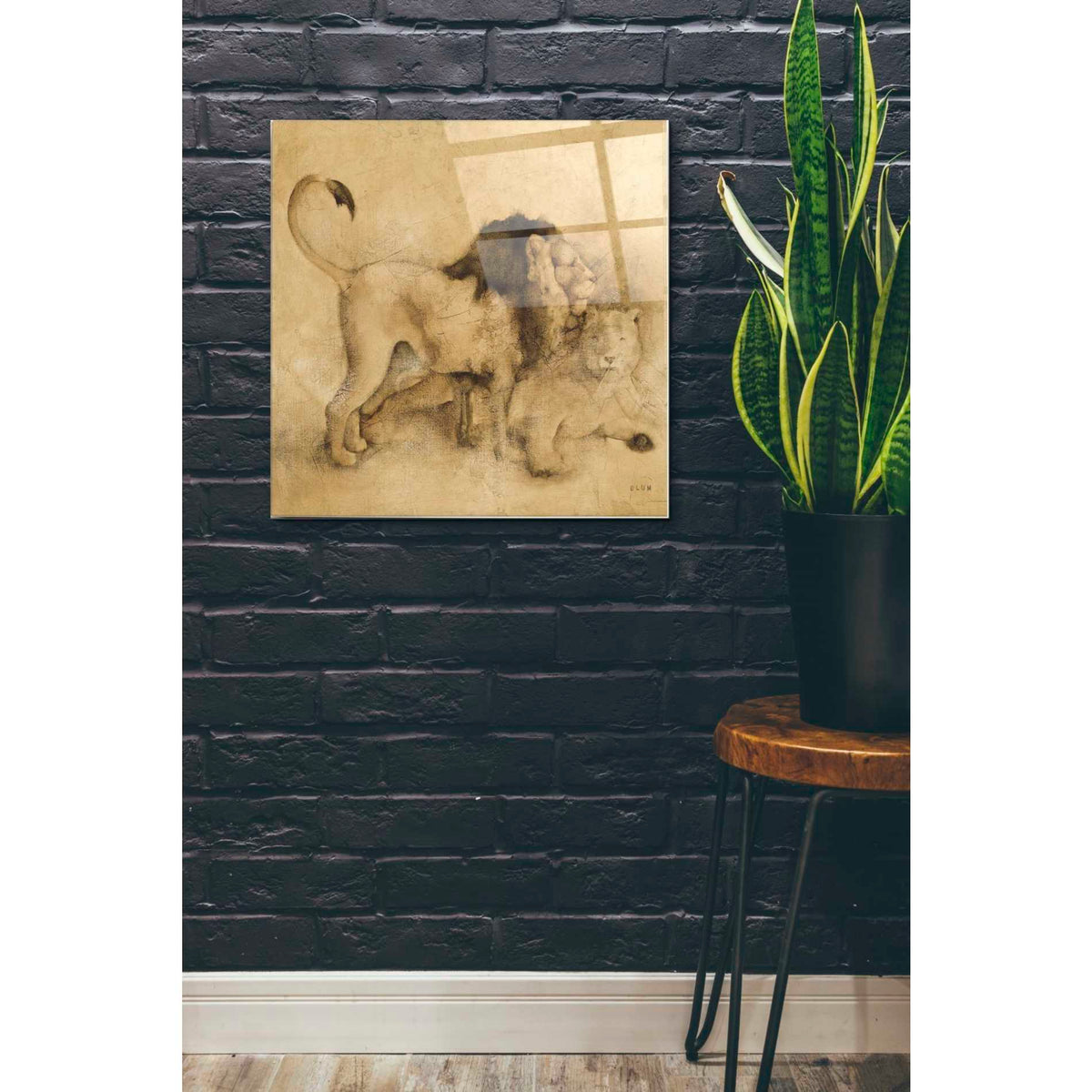 Epic Art 'Global Lions Light Crop' by Cheri Blum, Acrylic Glass Wall Art,24x24