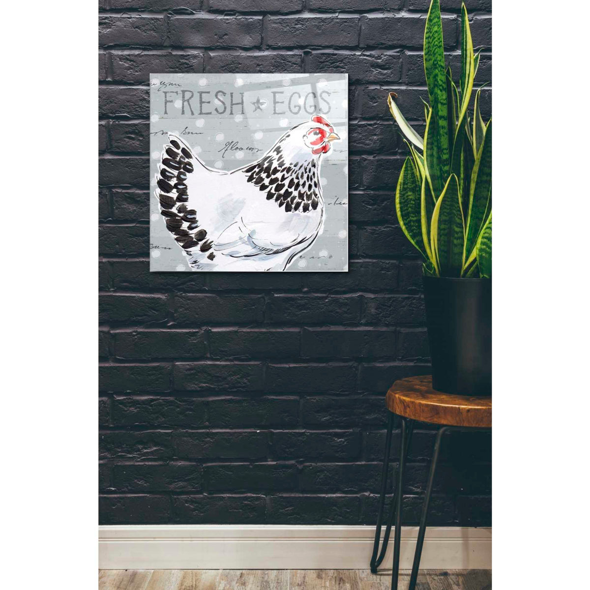 Epic Art 'Roosters Call II' by Daphne Brissonet, Acrylic Glass Wall Art,24x24