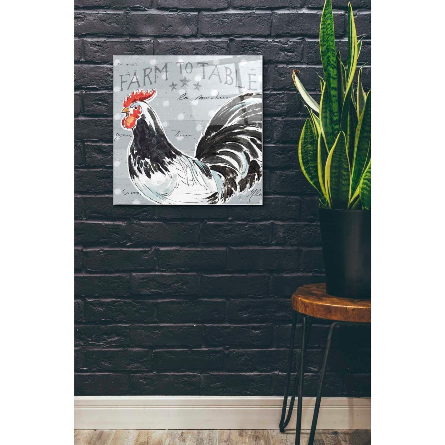 Epic Art 'Roosters Call III' by Daphne Brissonet, Acrylic Glass Wall Art,24x24