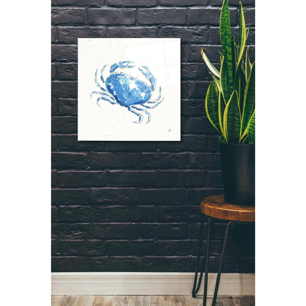 Epic Art 'Maritime X' by Daphne Brissonet, Acrylic Glass Wall Art,24x24