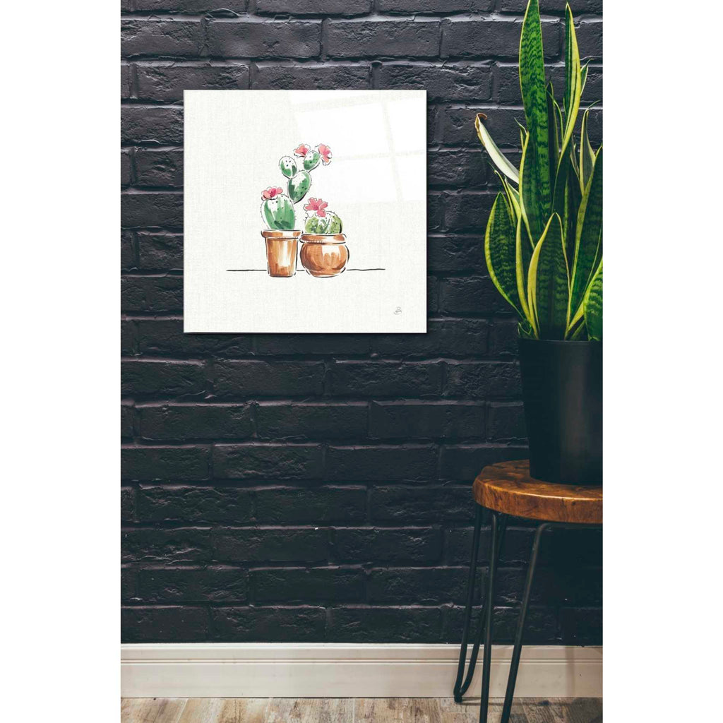 Epic Art 'Desert Bloom VII' by Daphne Brissonet, Acrylic Glass Wall Art,24x24