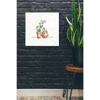 Epic Art 'Desert Bloom VII' by Daphne Brissonet, Acrylic Glass Wall Art,24x24