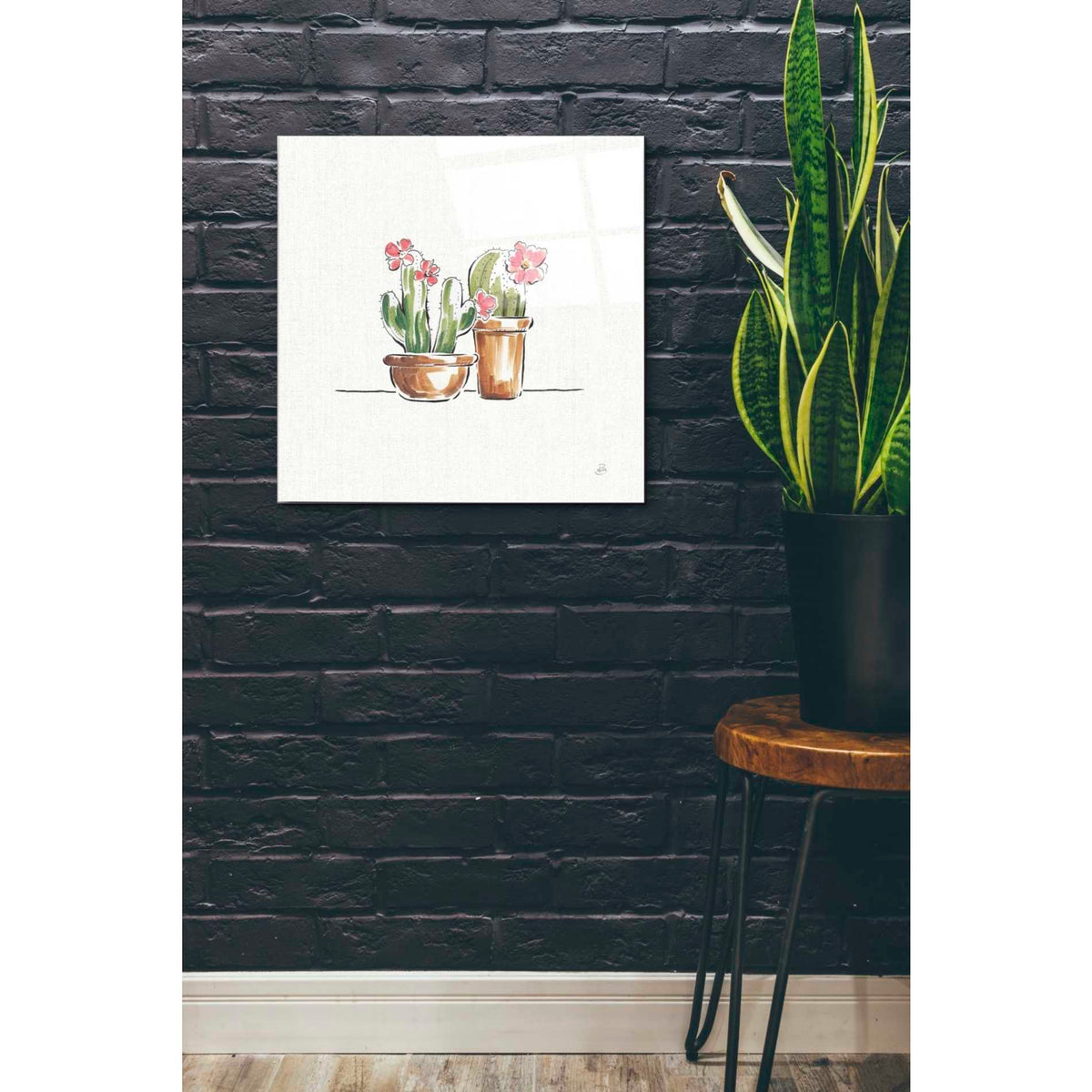 Epic Art 'Desert Bloom VI' by Daphne Brissonet, Acrylic Glass Wall Art,24x24