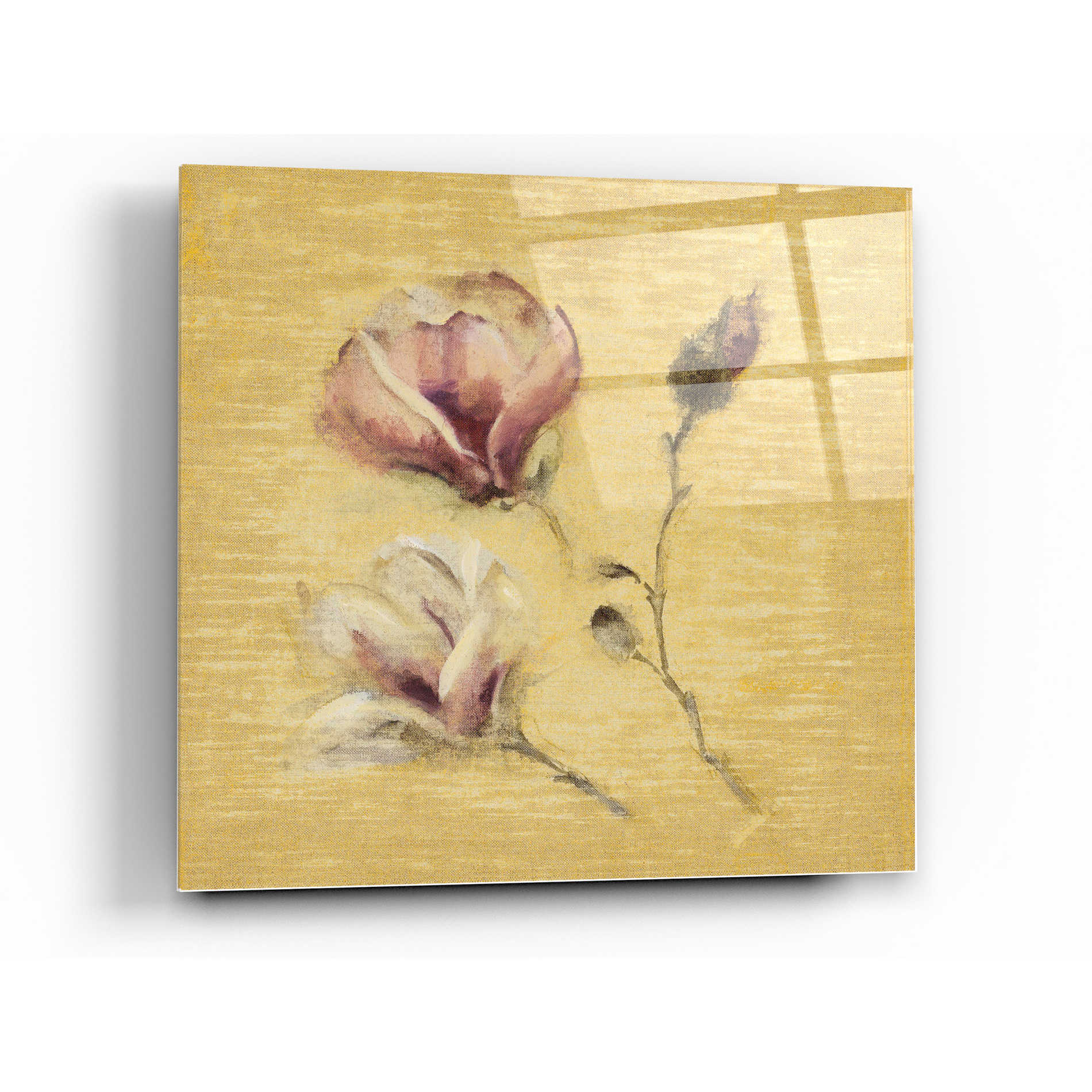 Epic Art 'Magnolia Blossom on Gold' by Cheri Blum, Acrylic Glass Wall Art,24x24