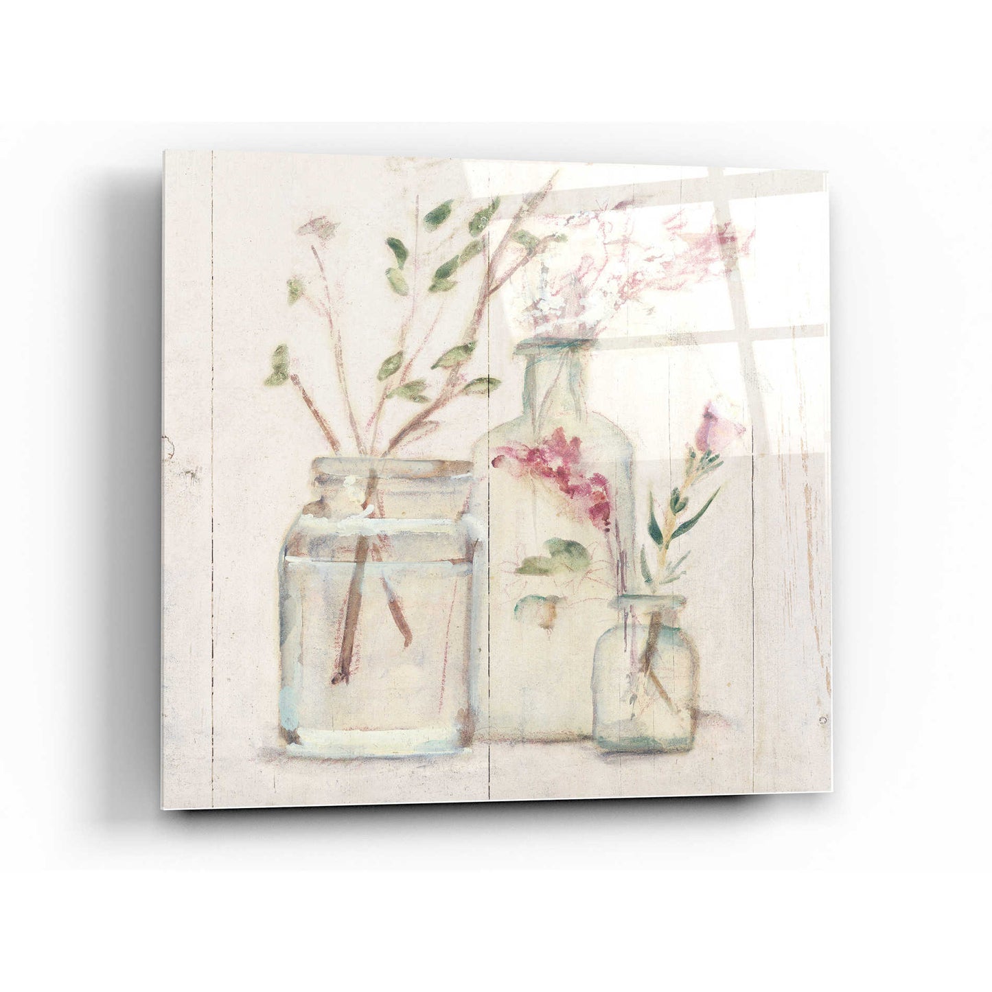 Epic Art 'Blossoms on Birch VI' by Cheri Blum, Acrylic Glass Wall Art,24x24