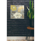 Epic Art 'Morning Tones Gold II' by Daphne Brissonet, Acrylic Glass Wall Art,24x24