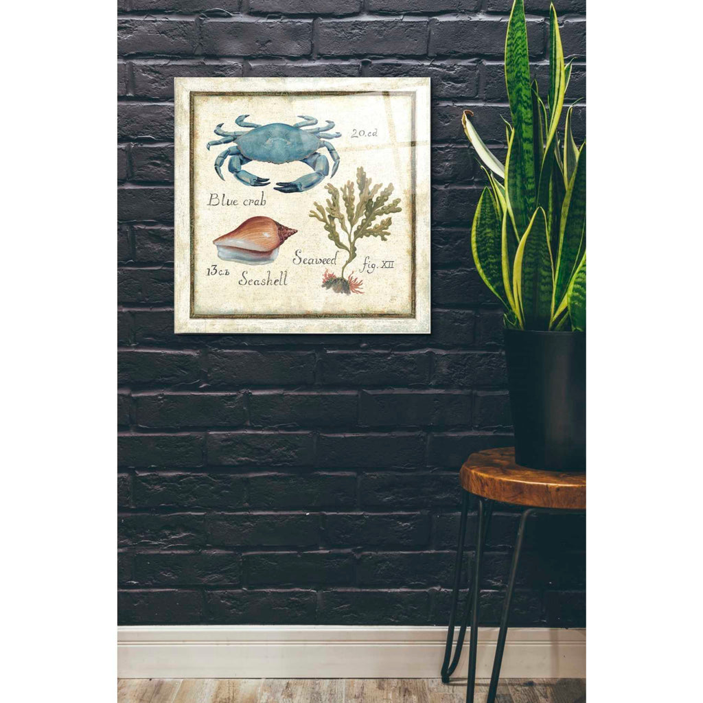 Epic Art 'Oceanography IV' by Daphne Brissonet, Acrylic Glass Wall Art,24x24