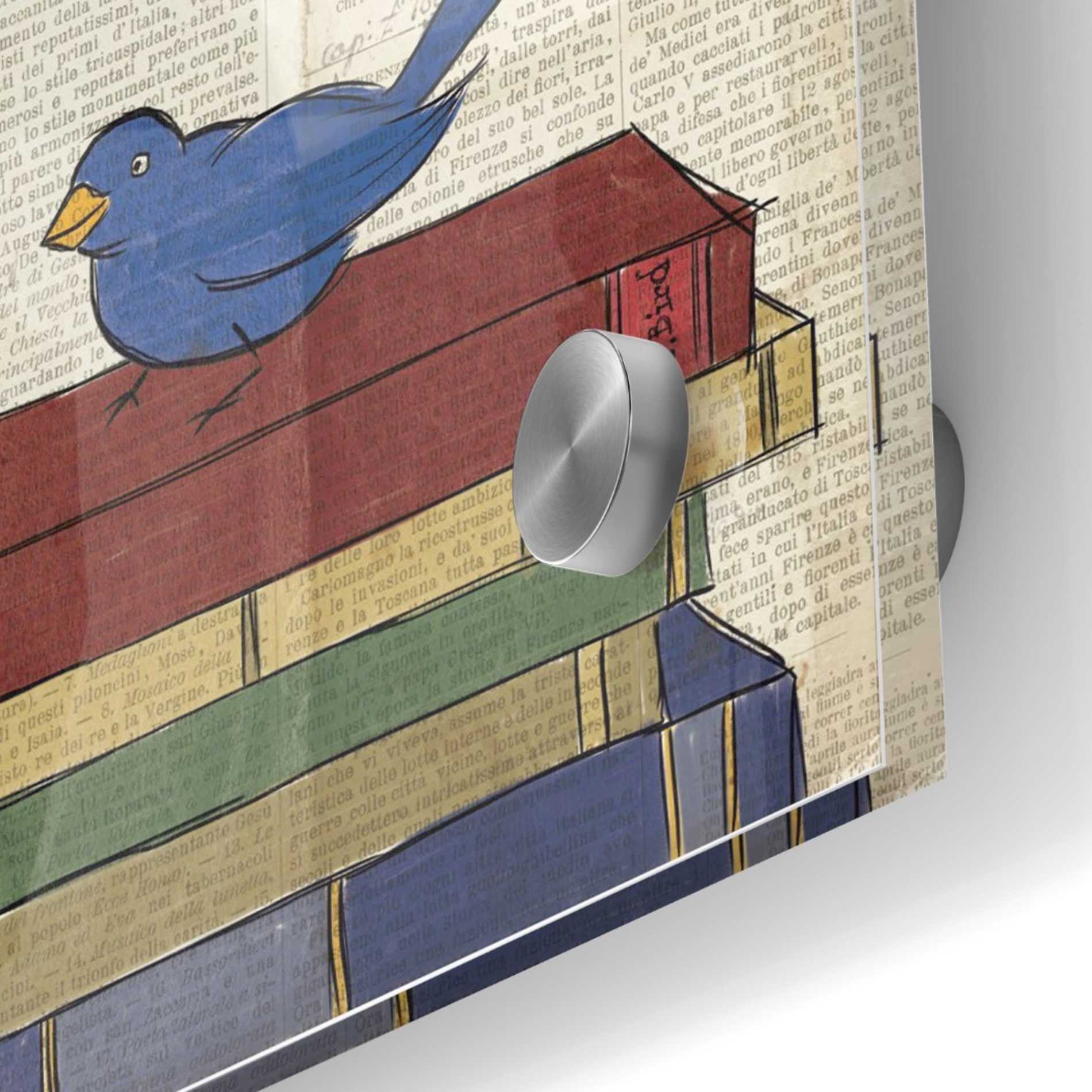 Epic Art 'Bird Inspiration Imagine' by Elyse DeNeige, Acrylic Glass Wall Art,24x24