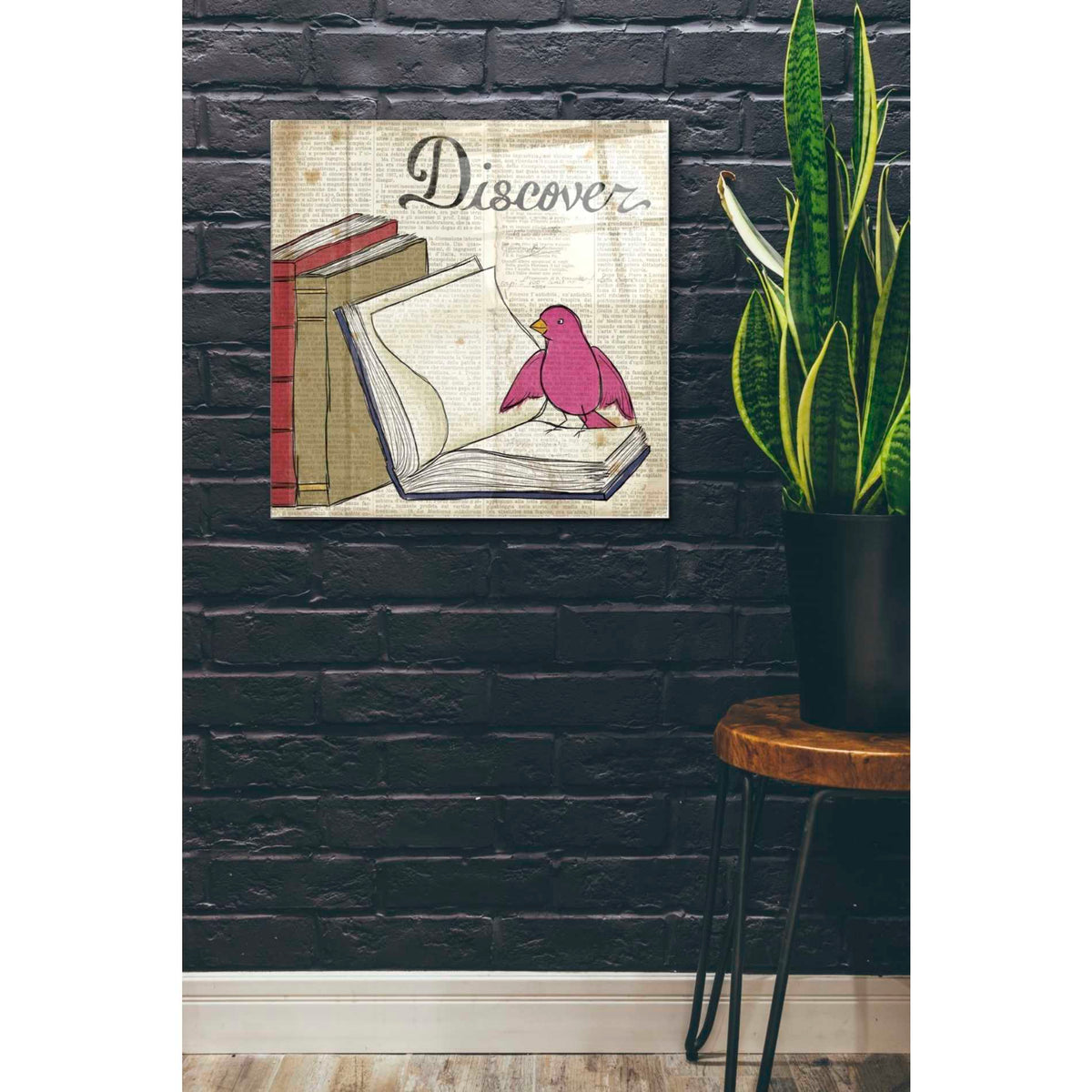 Epic Art 'Bird Inspiration Discover' by Elyse DeNeige, Acrylic Glass Wall Art,24x24