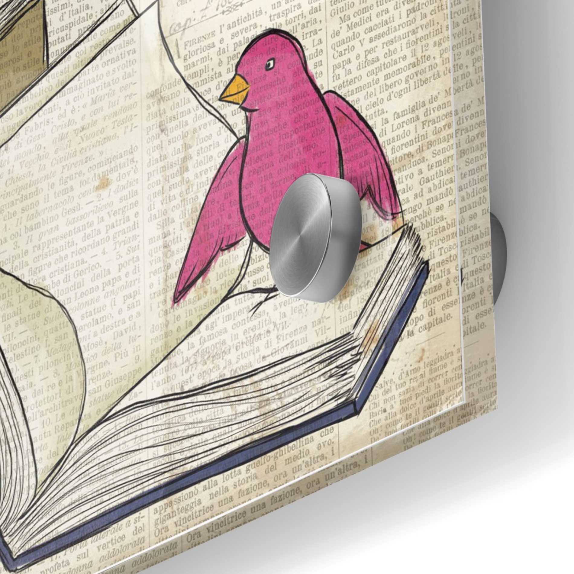 Epic Art 'Bird Inspiration Discover' by Elyse DeNeige, Acrylic Glass Wall Art,24x24