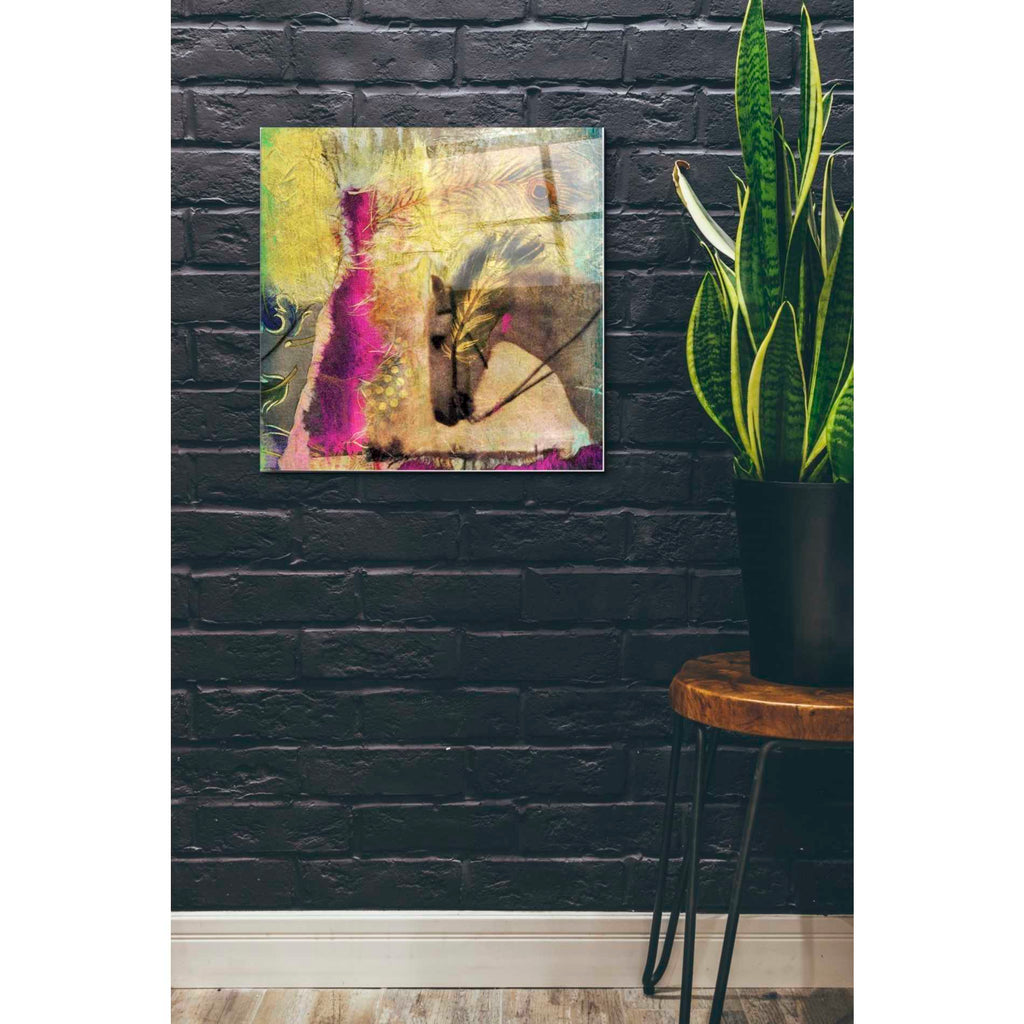 Epic Art 'White Horse' by Elena Ray Acrylic Glass Wall Art,24x24
