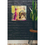Epic Art 'White Horse' by Elena Ray Acrylic Glass Wall Art,24x24