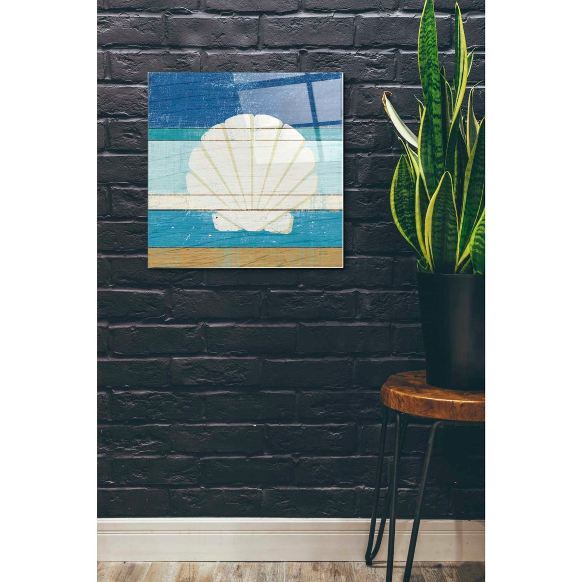 Epic Art 'Beachscape Shell v2' by Michael Mullan, Acrylic Glass Wall Art,24x24