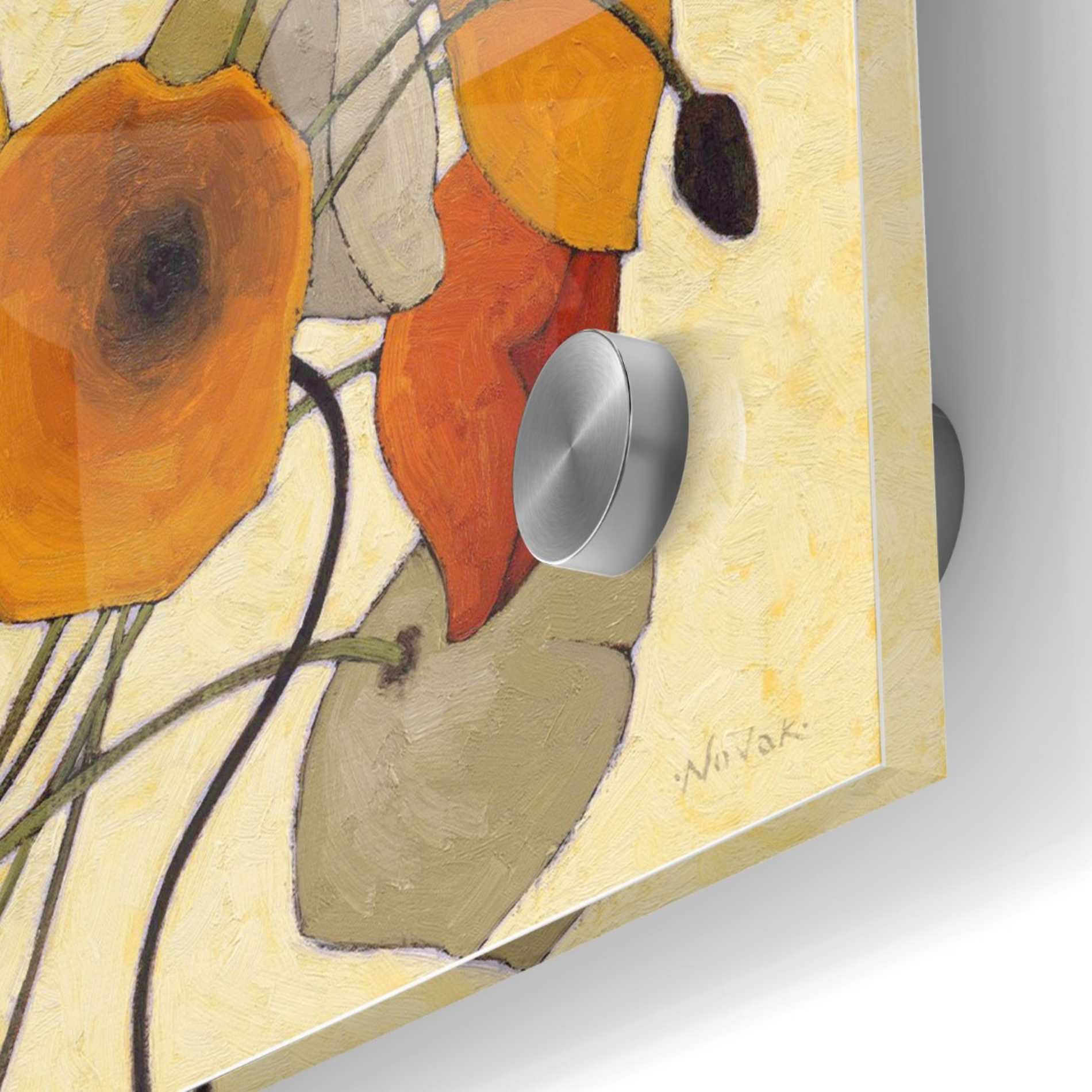 Epic Art 'Pumpkin Poppies II' by Shirley Novak, Acrylic Glass Wall Art,24x24