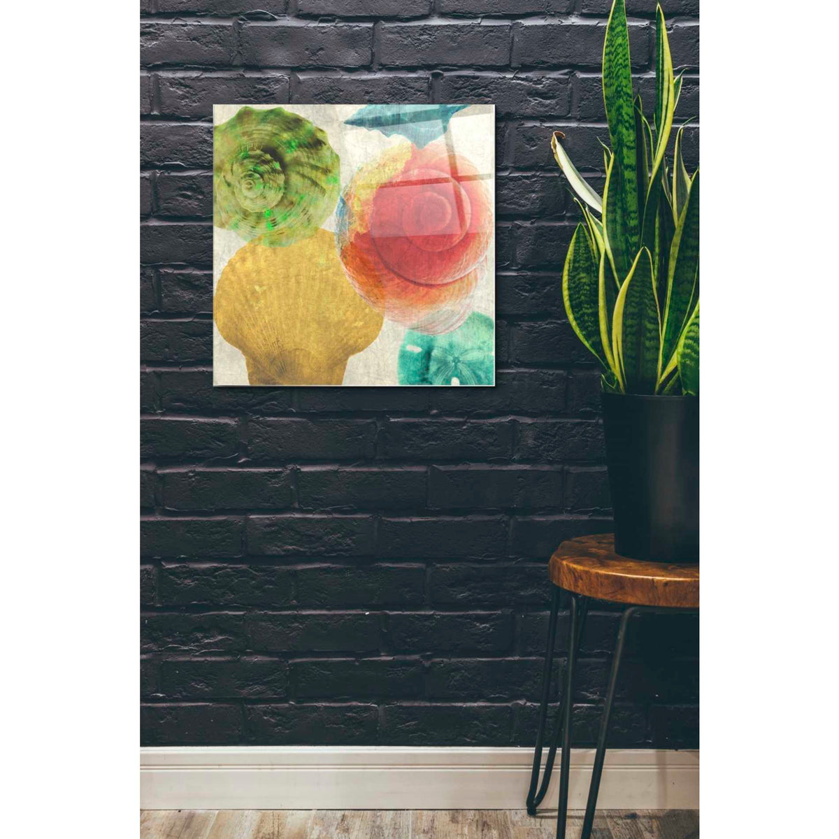 Epic Art 'Luminous Seashells 4' by Elena Ray Acrylic Glass Wall Art,24x24