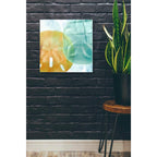 Epic Art 'Luminous Seashells' by Elena Ray Acrylic Glass Wall Art,24x24