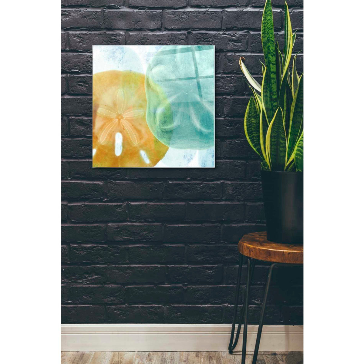 Epic Art 'Luminous Seashells' by Elena Ray Acrylic Glass Wall Art,24x24