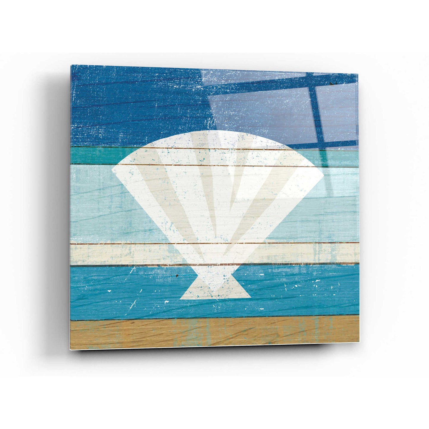 Epic Art 'Beachscape Shell' by Michael Mullan, Acrylic Glass Wall Art,24x24