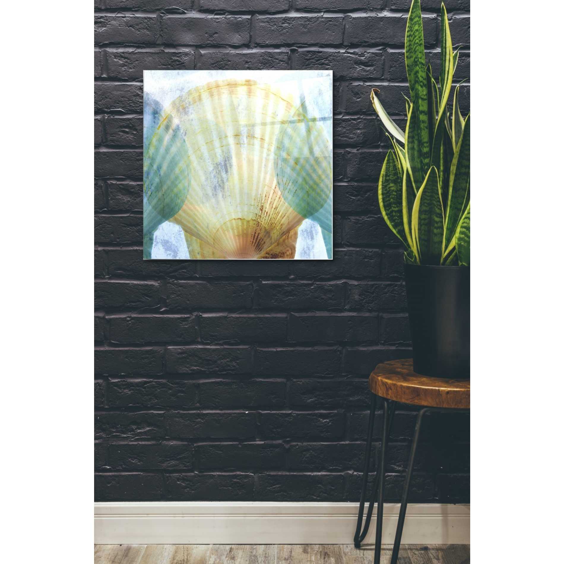 Epic Art 'Luminous Seashells 2' by Elena Ray Acrylic Glass Wall Art,24x24