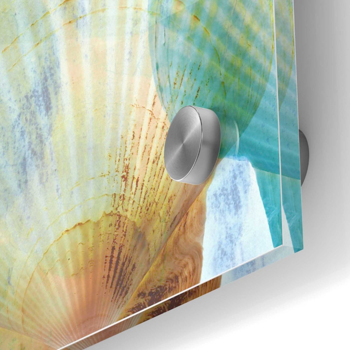 Epic Art 'Luminous Seashells 2' by Elena Ray Acrylic Glass Wall Art,24x24