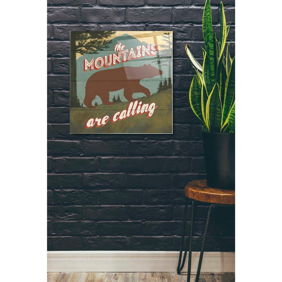 Epic Art 'Discover the Wild I' by Janelle Penner, Acrylic Glass Wall Art,24x24