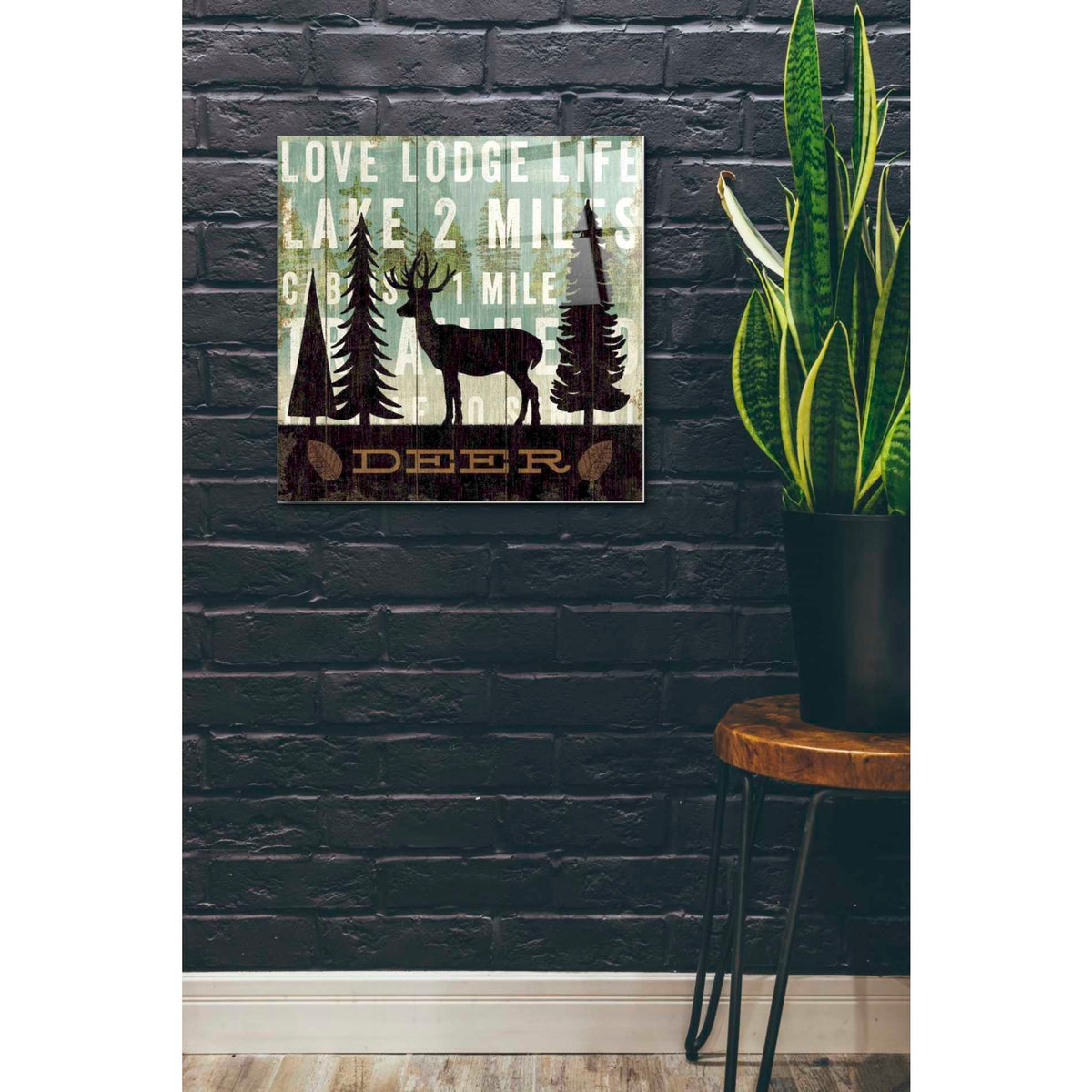 Epic Art 'Simple Living Deer' by Michael Mullan, Acrylic Glass Wall Art,24x24