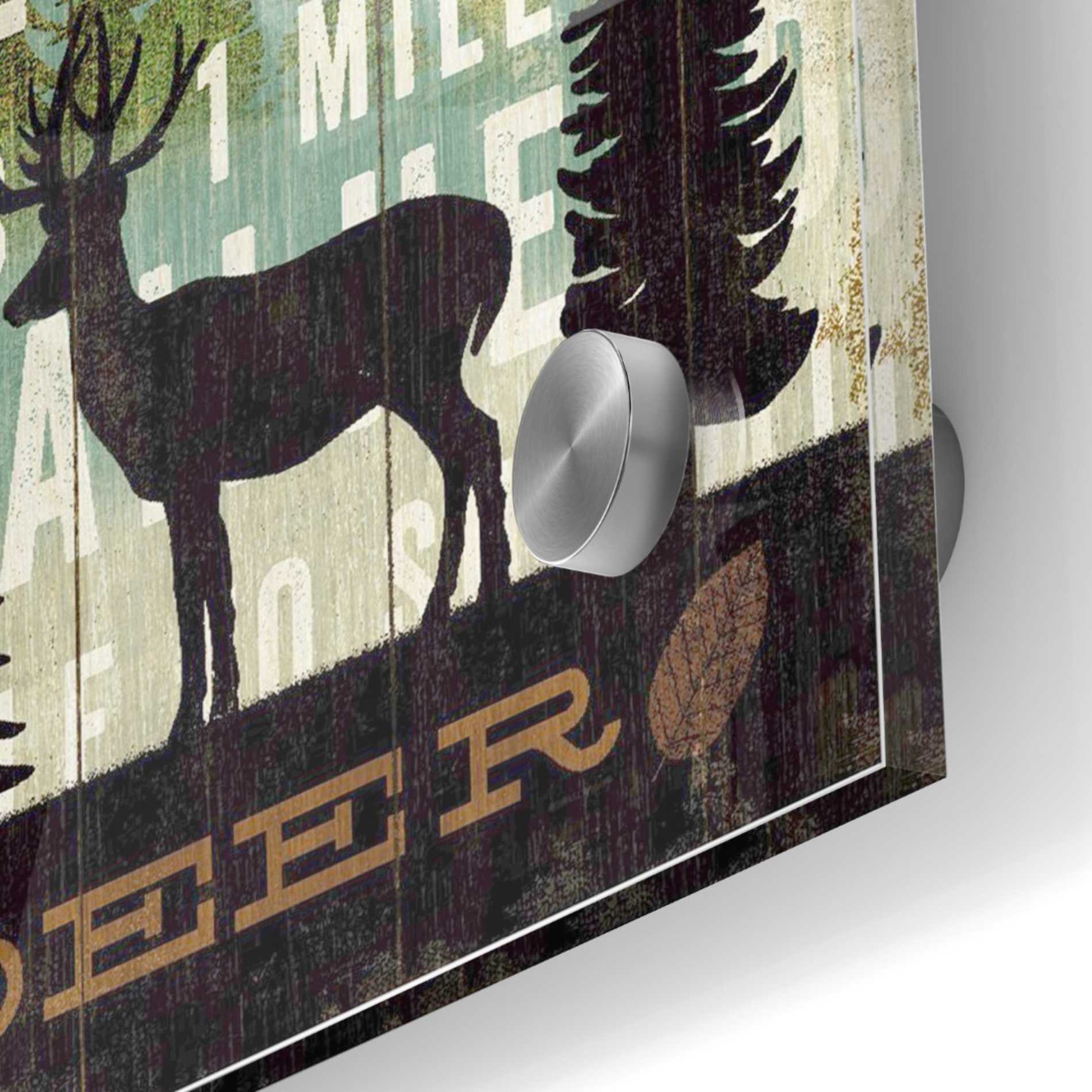 Epic Art 'Simple Living Deer' by Michael Mullan, Acrylic Glass Wall Art,24x24