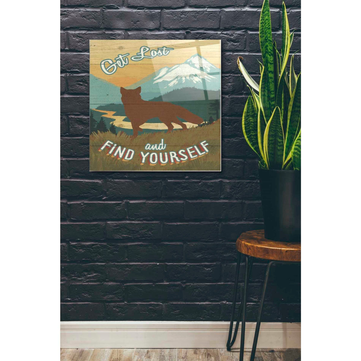 Epic Art 'Discover the Wild III' by Janelle Penner, Acrylic Glass Wall Art,24x24
