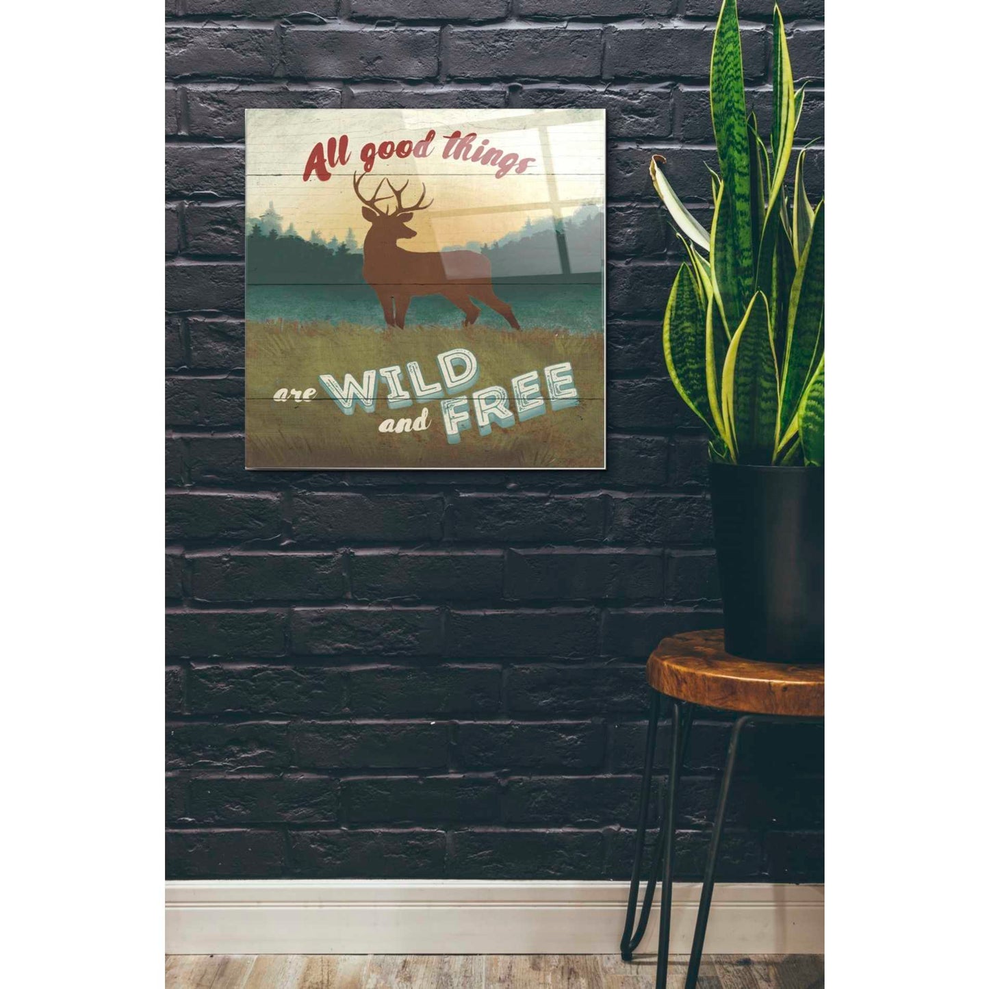 Epic Art 'Discover the Wild II' by Janelle Penner, Acrylic Glass Wall Art,24x24