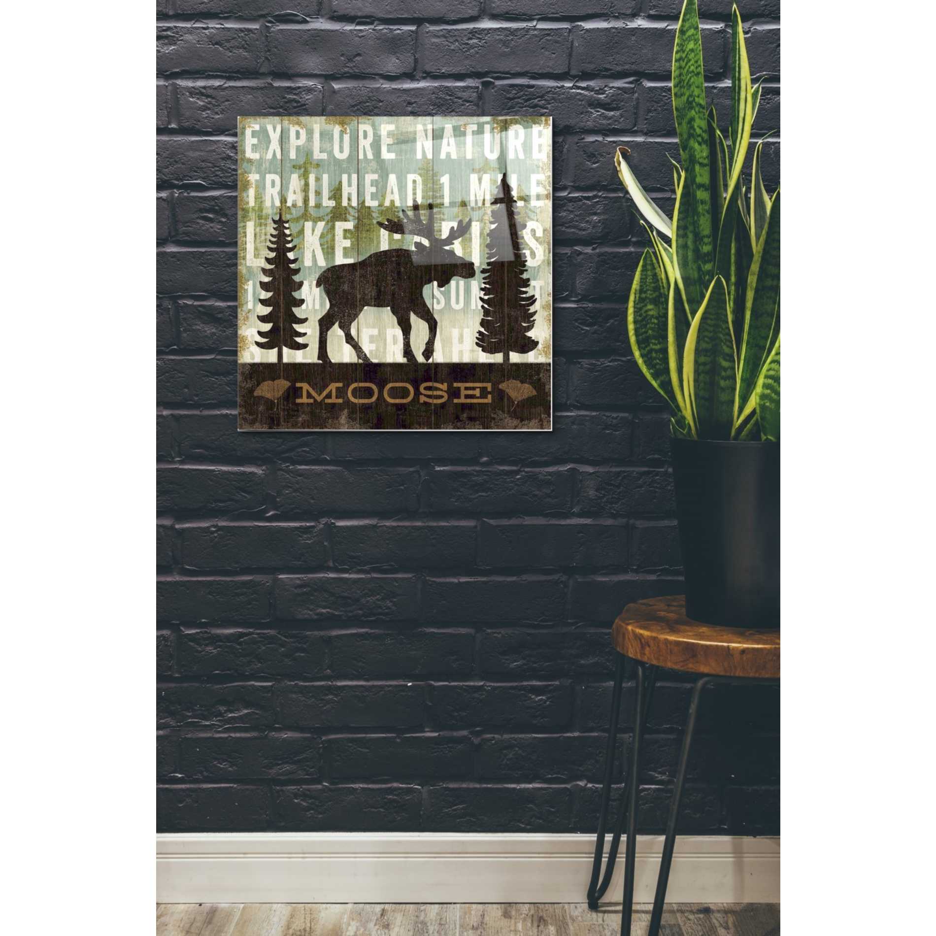 Epic Art 'Simple Living Moose' by Michael Mullan, Acrylic Glass Wall Art,24x24