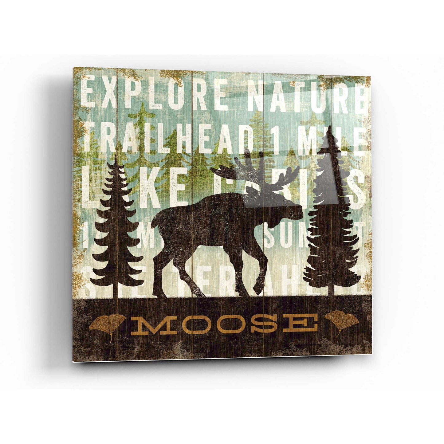 Epic Art 'Simple Living Moose' by Michael Mullan, Acrylic Glass Wall Art,24x24