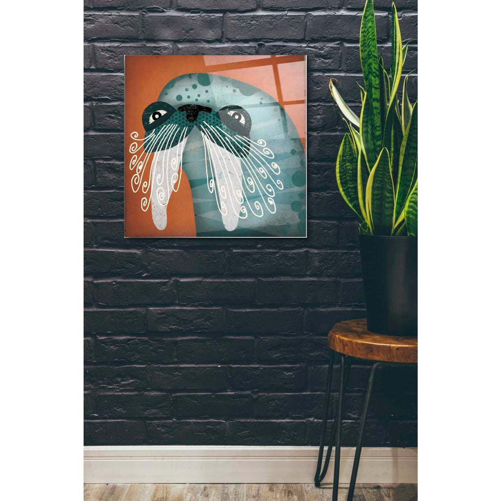Epic Art 'Walrus Wow' by Ryan Fowler, Acrylic Glass Wall Art,24x24