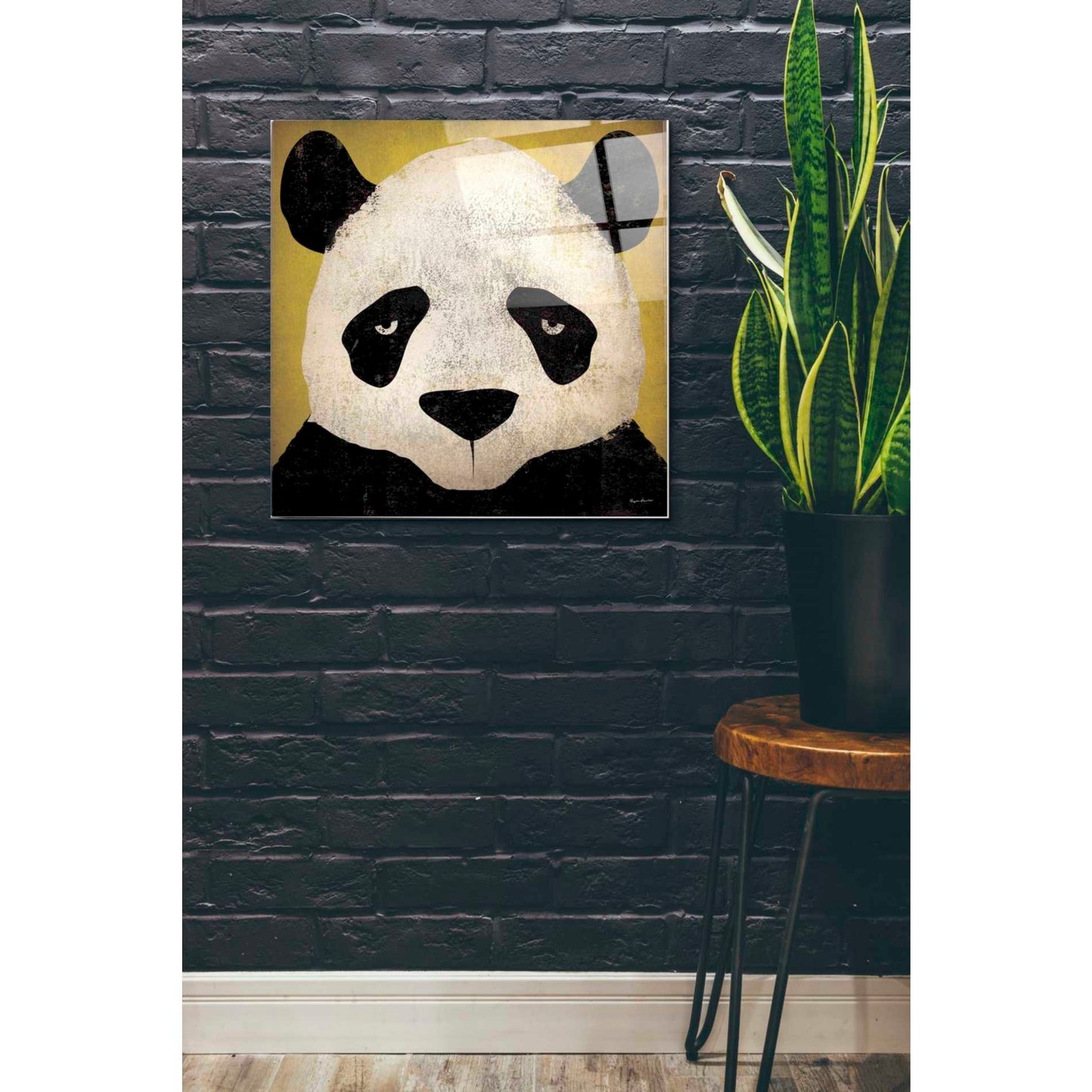Epic Art 'Panda' by Ryan Fowler, Acrylic Glass Wall Art,24x24