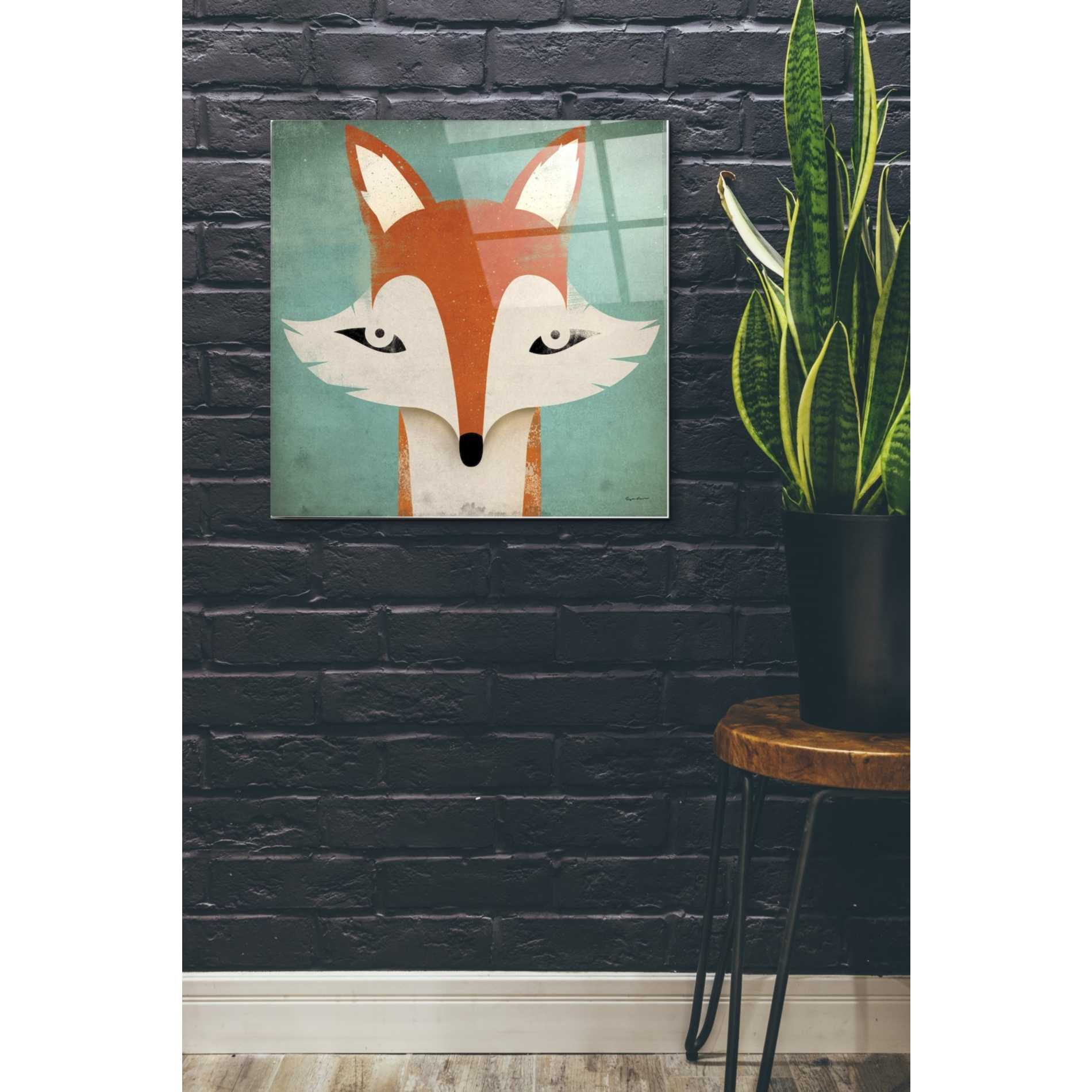 Epic Art 'Fox' by Ryan Fowler, Acrylic Glass Wall Art,24x24