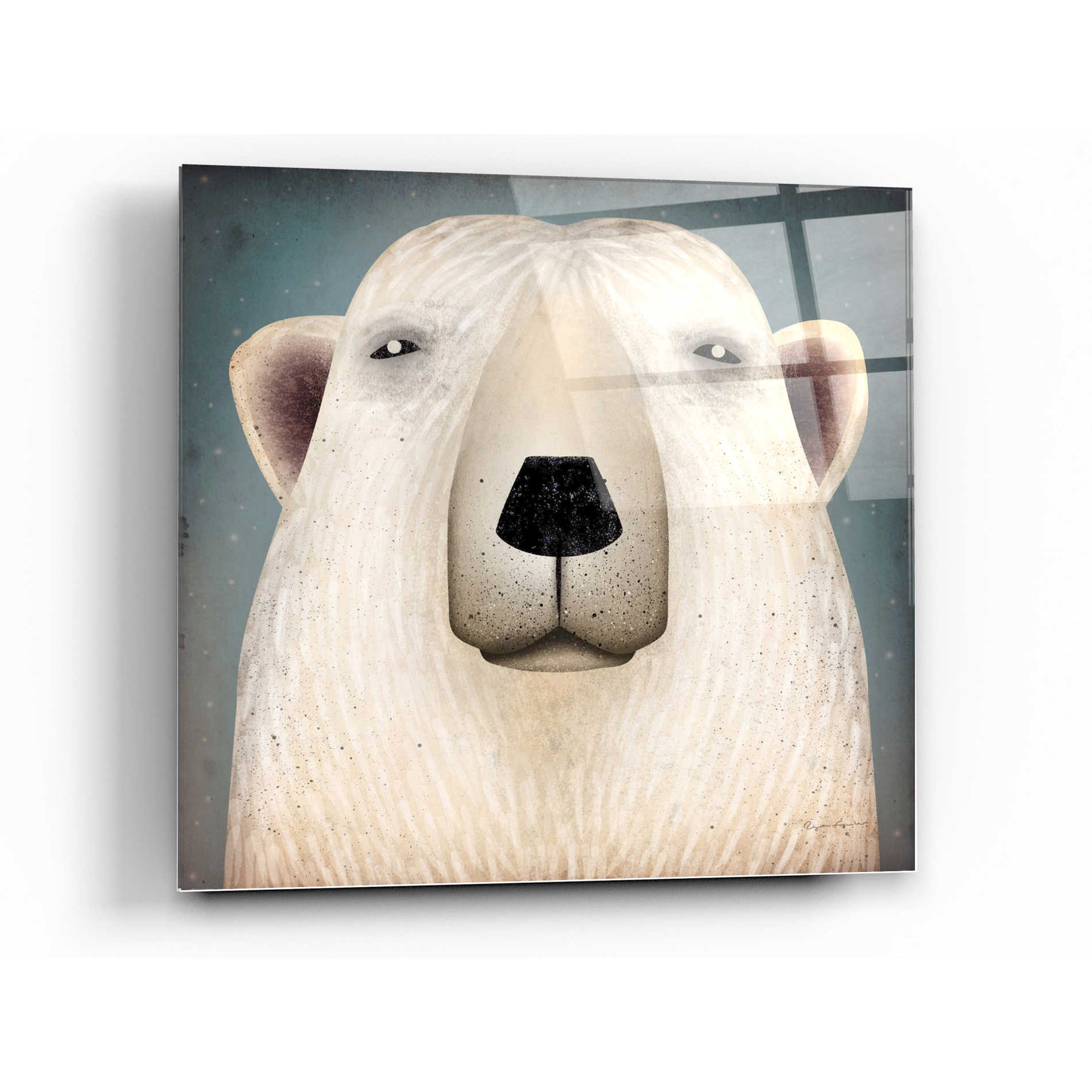Epic Art 'Polar Bear Wow' by Ryan Fowler, Acrylic Glass Wall Art,24x24