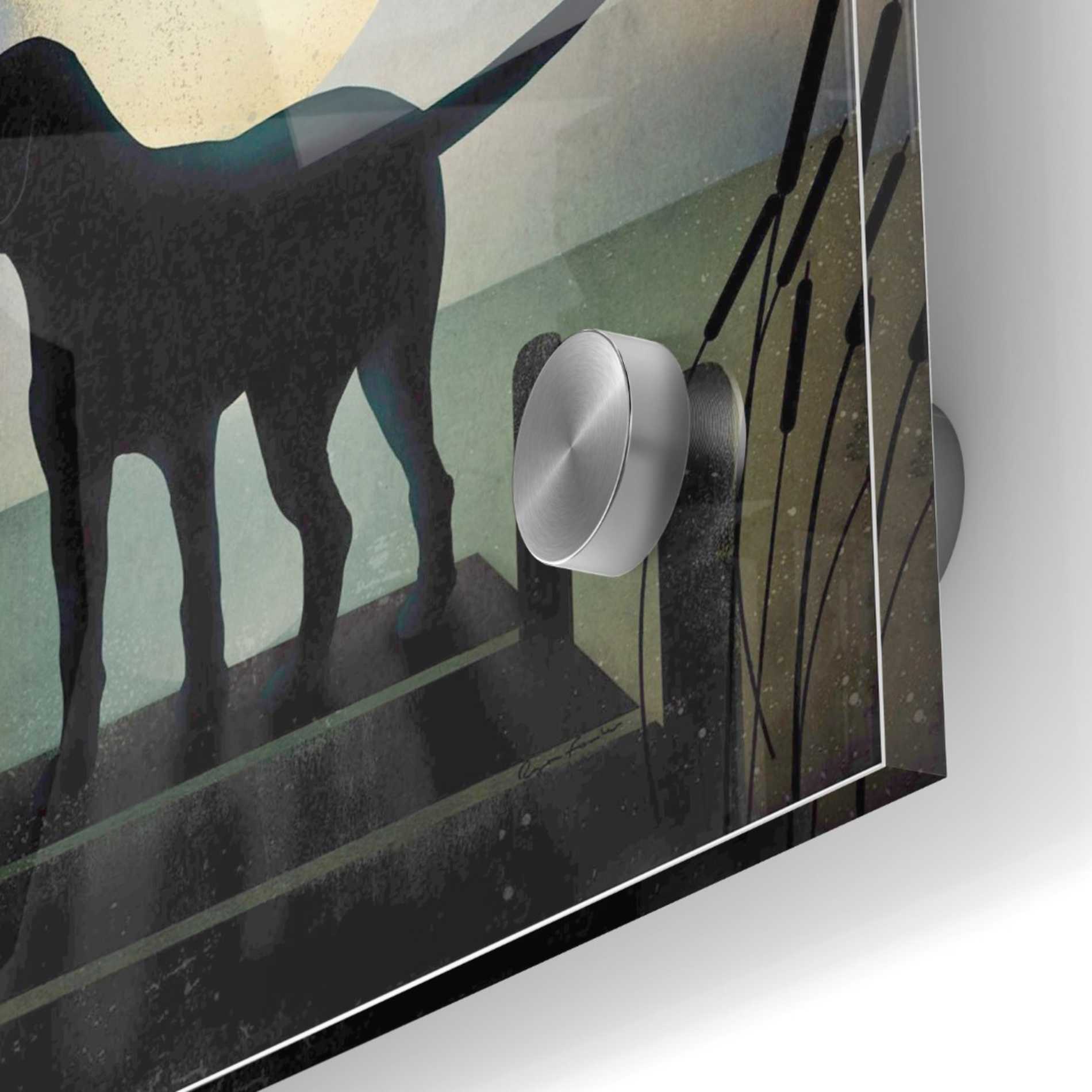 Epic Art 'Moonrise Black Dog - Labrador Lake' by Ryan Fowler, Acrylic Glass Wall Art,24x24