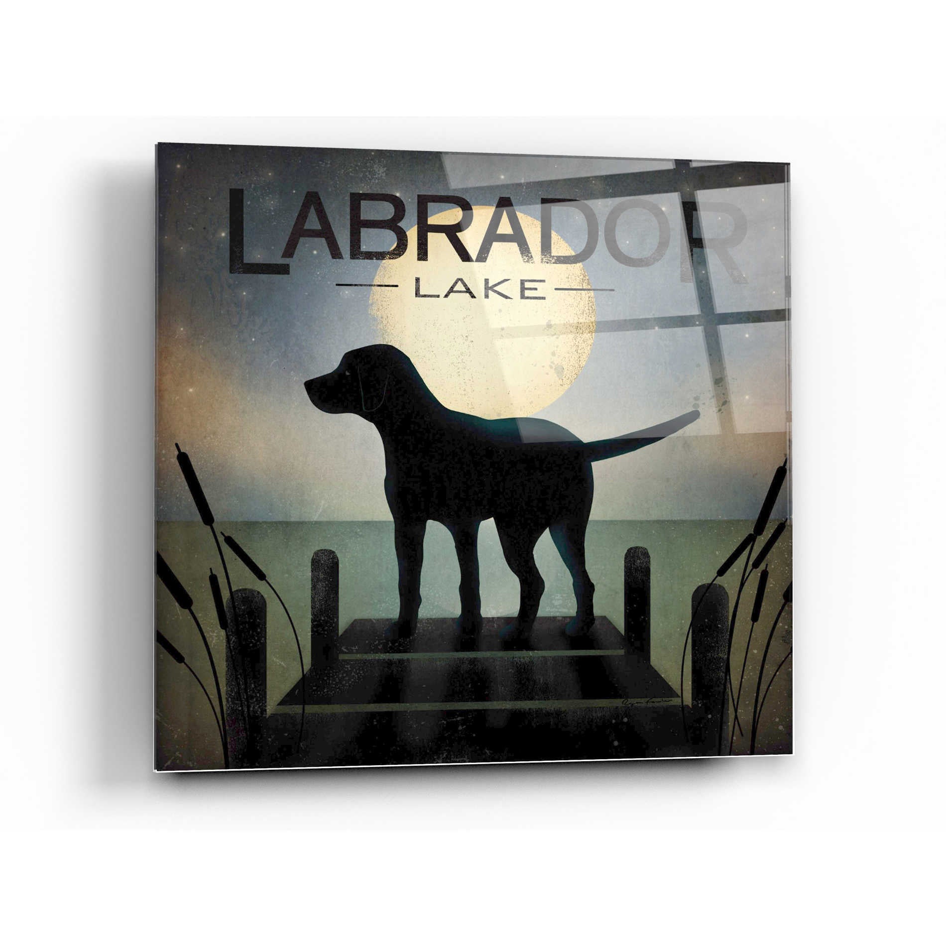 Epic Art 'Moonrise Black Dog - Labrador Lake' by Ryan Fowler, Acrylic Glass Wall Art,24x24