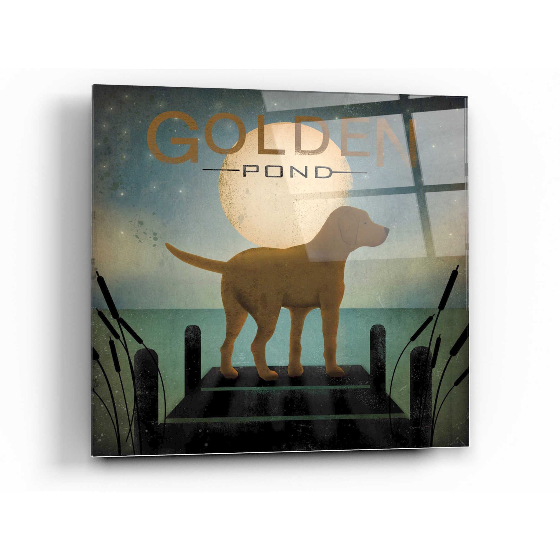 Epic Art 'Moonrise Yellow Dog - Golden Pond' by Ryan Fowler, Acrylic Glass Wall Art,24x24