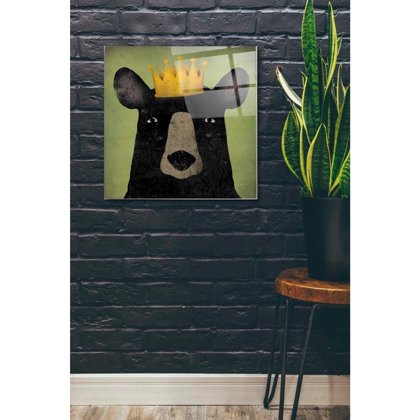 Epic Art 'The Black Bear with Crown' by Ryan Fowler, Acrylic Glass Wall Art,24x24