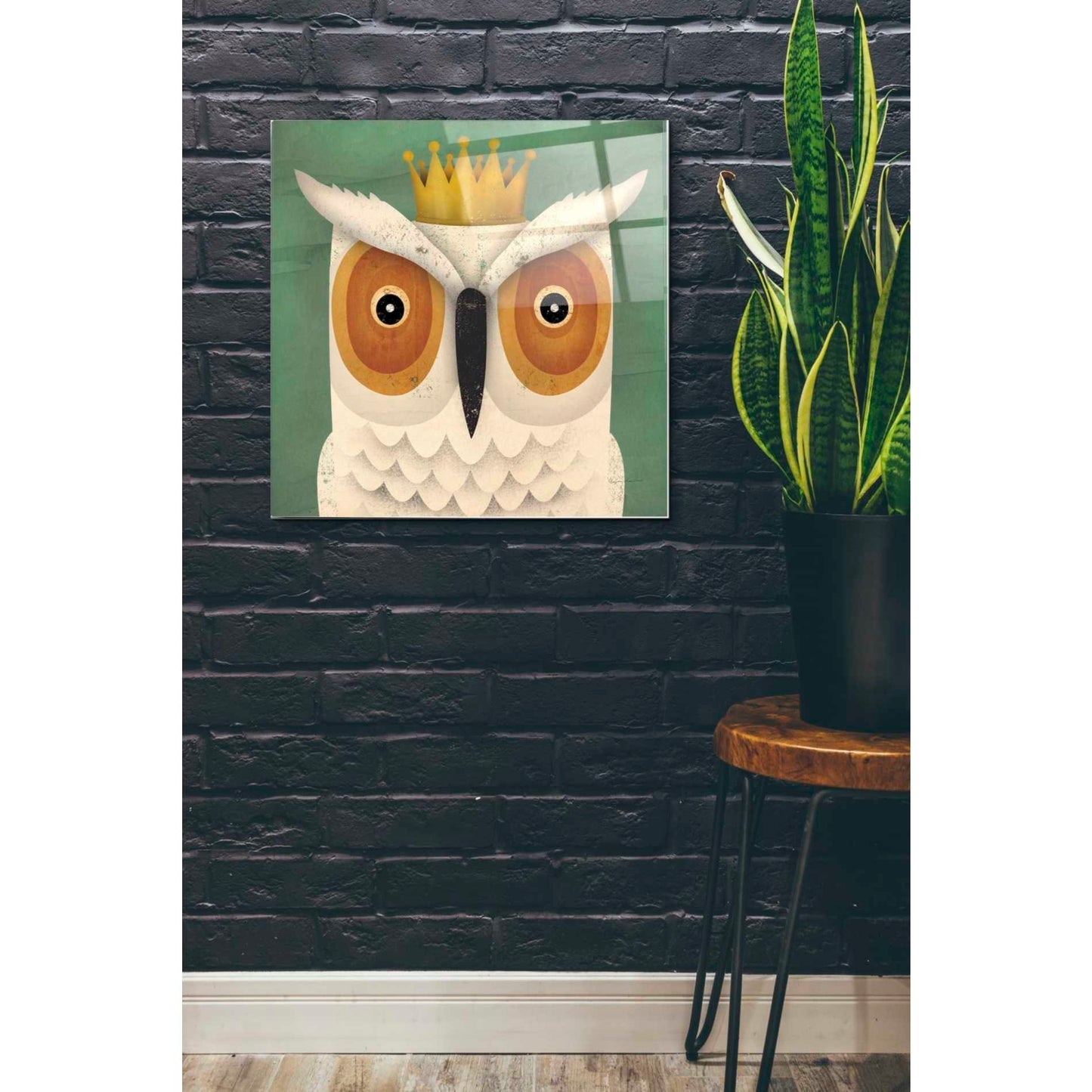 Epic Art 'White Owl with Crown' by Ryan Fowler, Acrylic Glass Wall Art,24x24