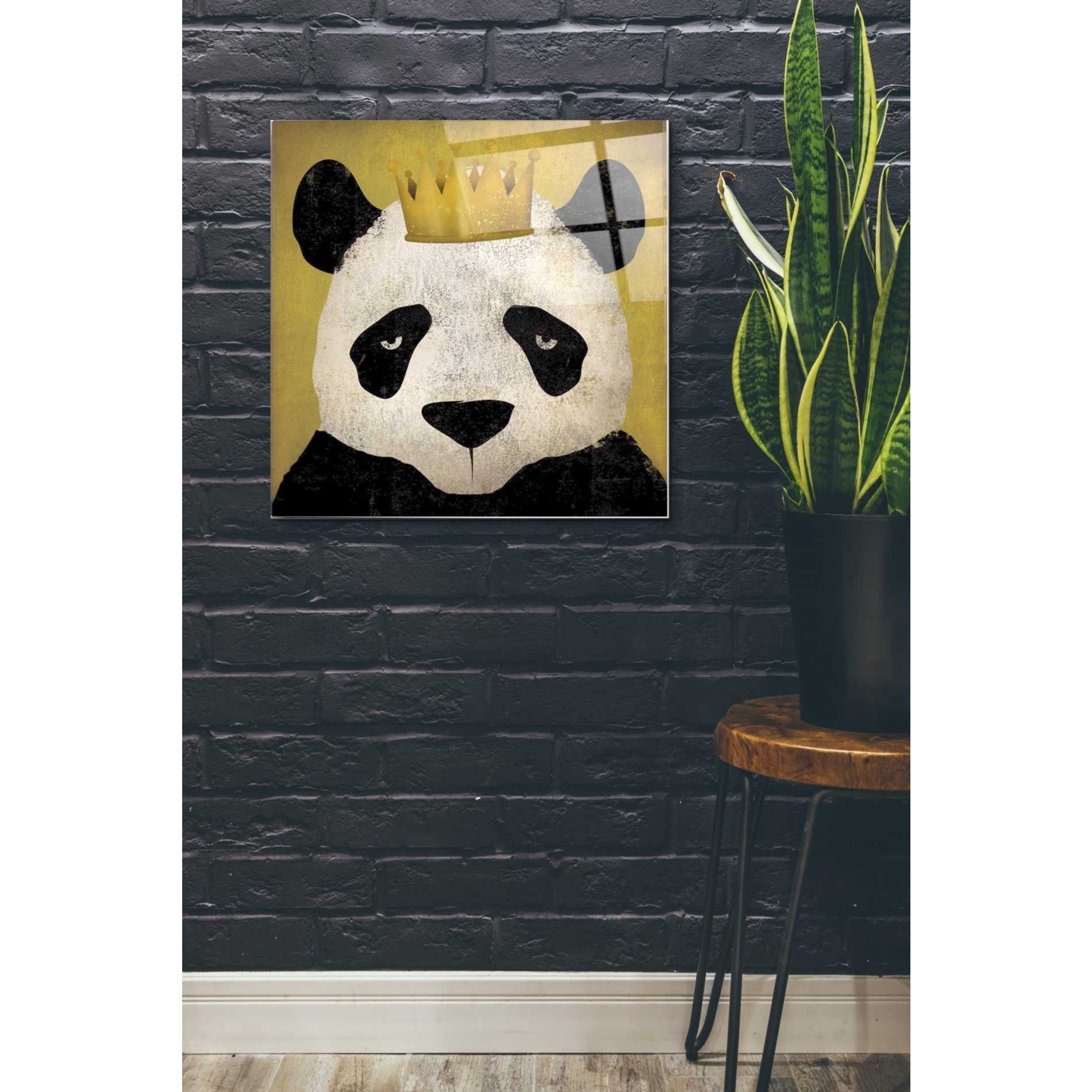 Epic Art 'Panda with Crown' by Ryan Fowler, Acrylic Glass Wall Art,24x24