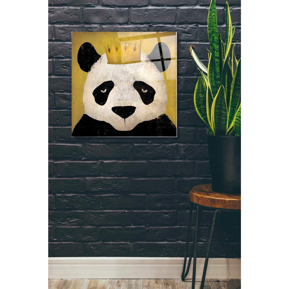 Epic Art 'Panda with Crown' by Ryan Fowler, Acrylic Glass Wall Art,24x24